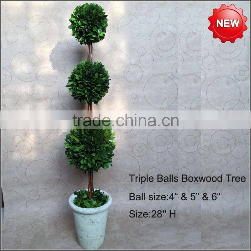 Preserved boxwood triple balls tree topiary