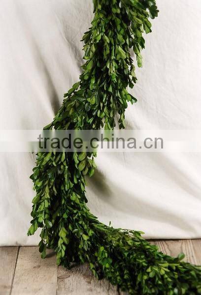 Preserved boxwood leaves garland