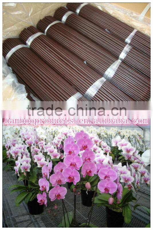 bamboo flower sticks