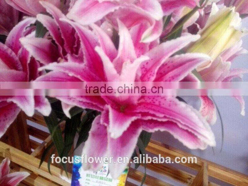 Artificial Easter Double Llily Flower