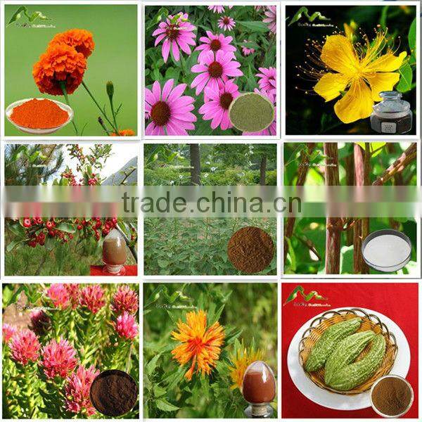 Natural Antioxidants Resveratrol Extract