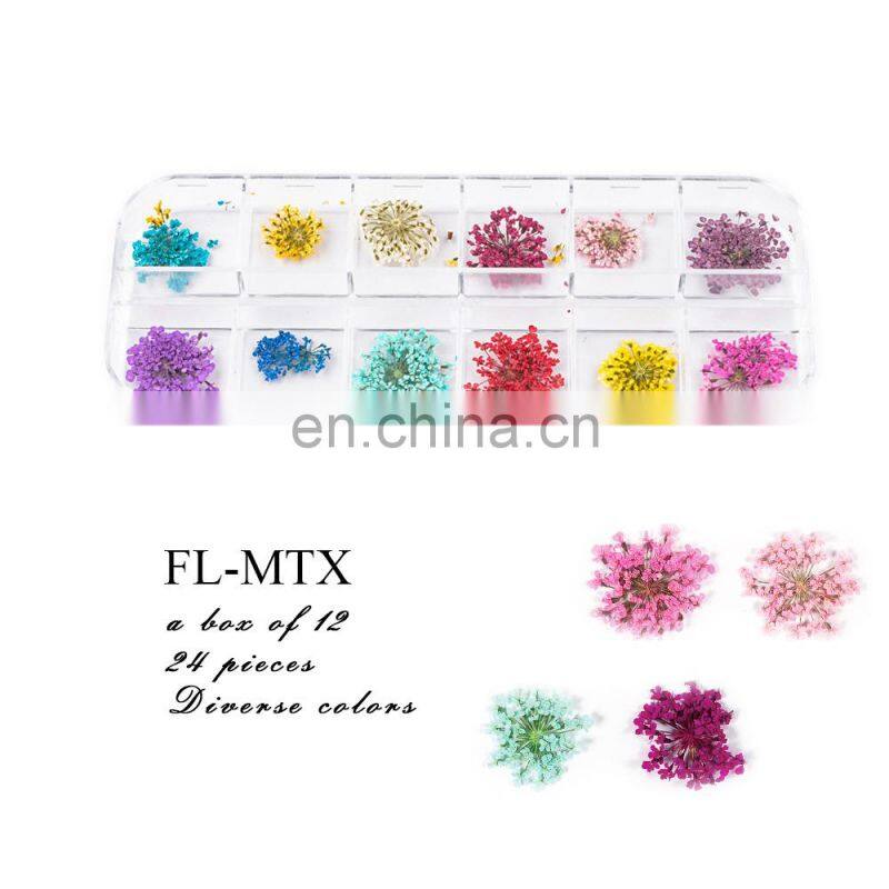 Dry Flower Nail Digit Nail And Smart Flower Printer