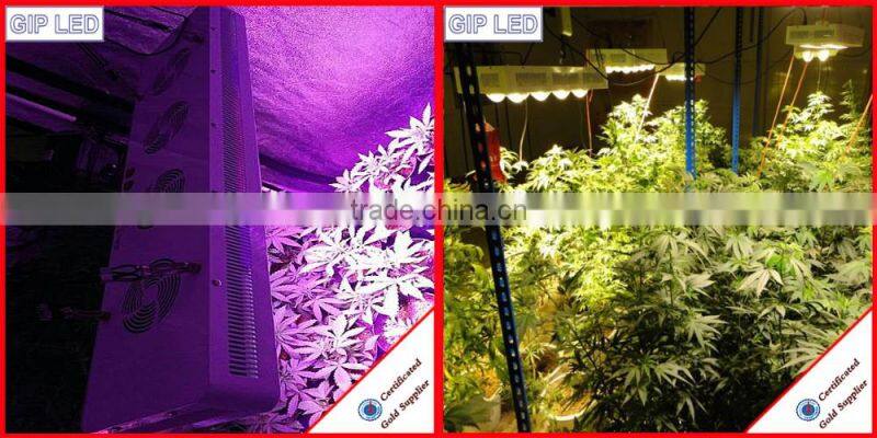 high power 4 cob grow led light veg/bloom switches 2ft 1000w led plant grow light full spectrum 504w cob led grow lights