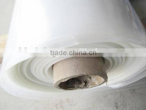 Sainpoly Hot Sale PE Covered Agricultural Single Span/Muilti Span Film Greenhouse