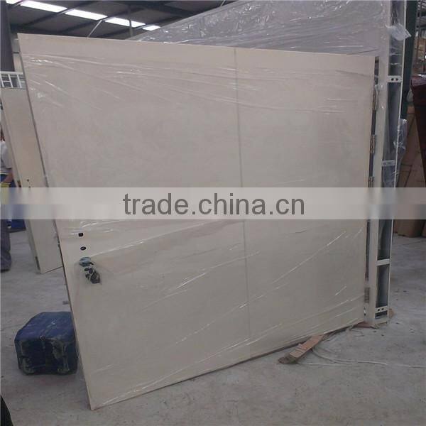 luxurious metal double security door