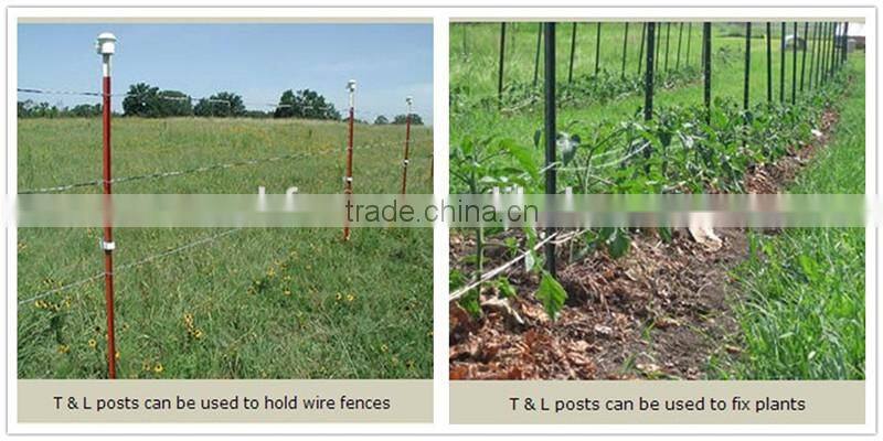 anti-corrosion durable anti-ultraviolet t fence post for Australia market