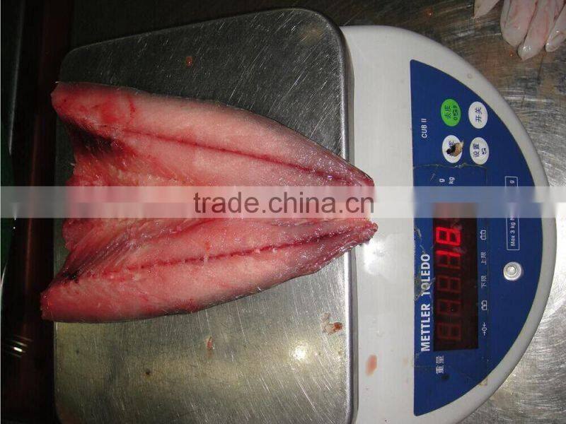 frozen seafish pacific mackerel scomber flaps/fillets