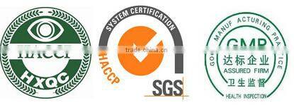 Half face masquerade masks