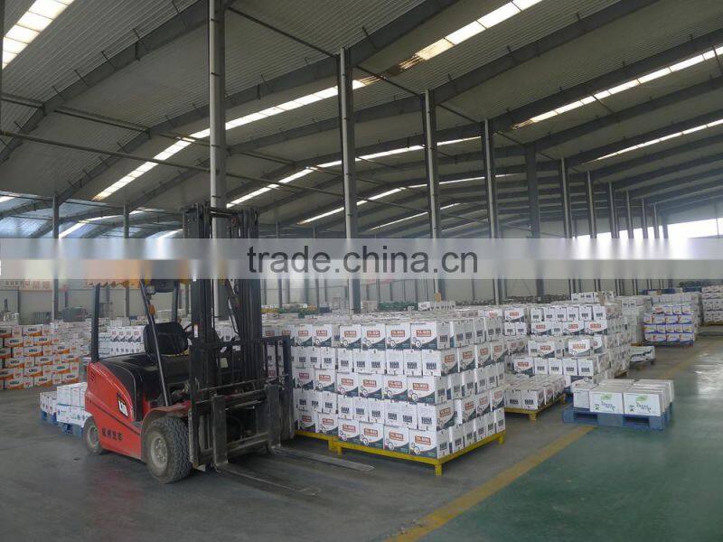 Multi- purpose Sealant Neutral, Neutral silicone sealant