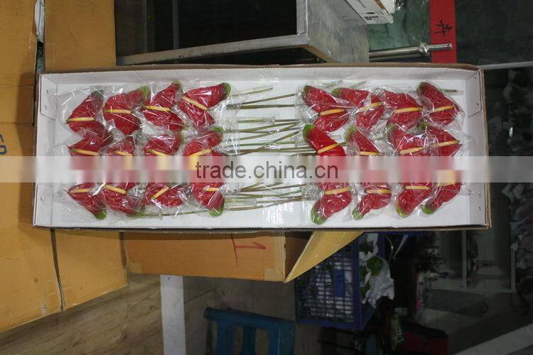 Exquisite top sell new product yellow african antirrhinum flowers