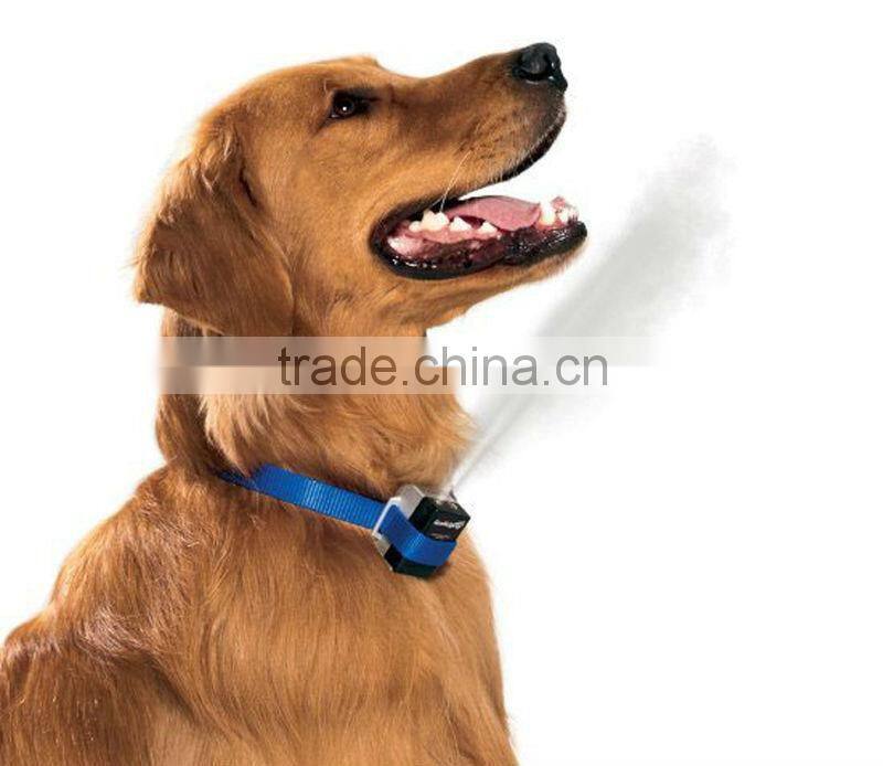 Zinc alloy buckle durable TPU hunting dog collar