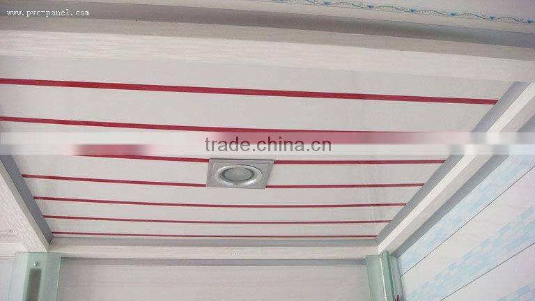 beautiful roof panel