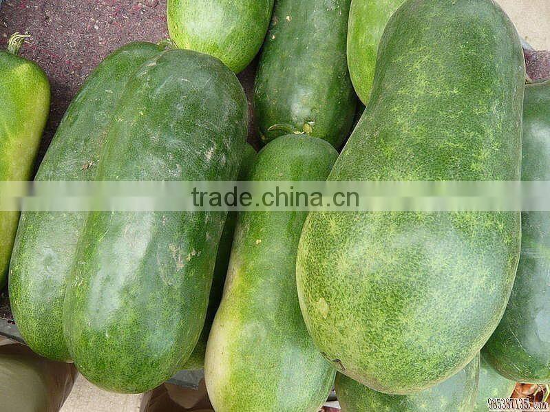 120pcs/h stainless steel taro pumpkin peeler equipment for sale