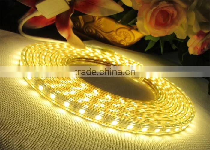 high voltage led strip light kit SMD 5050 IP65 waterproof strip light