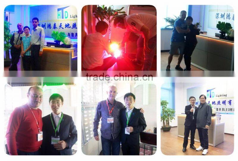 InGaN Chip Material and CE, RoHS Certification high power LED Module