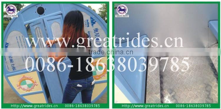 Attractive Amusement park rides family ferris wheel