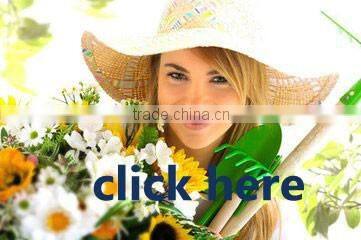 High definition 21.5" led touch screen for indoor intuitive manifest application