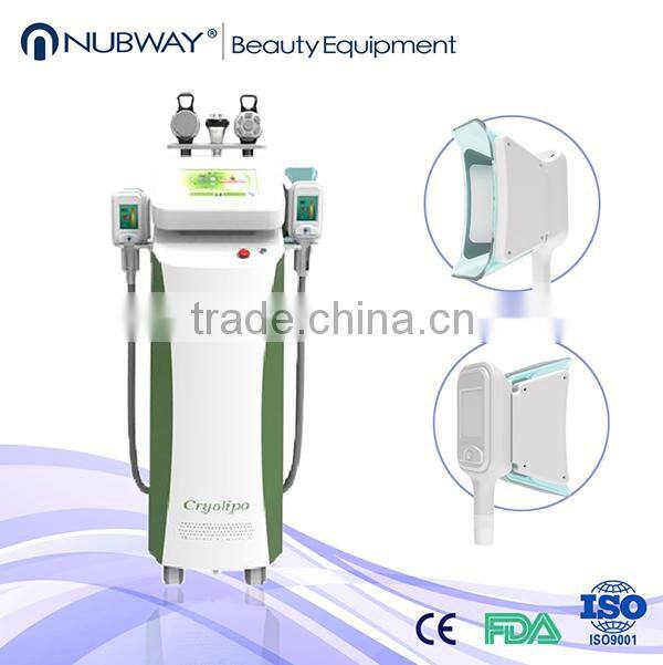 weight loss fat melting machine and skin tightening machine best selling europe