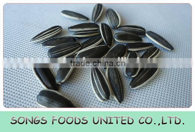 Best Quality Sunflwoer Seeds Factory