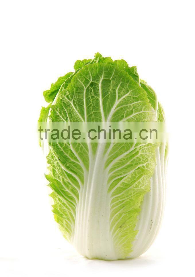 chinese brands cabbage fresh green cabbage sour cabbage