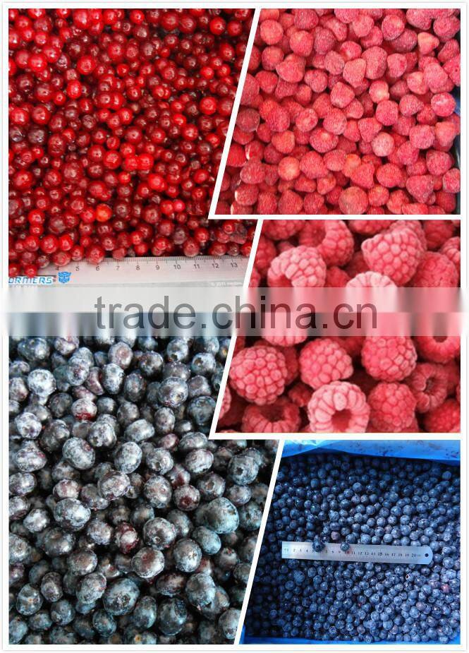 Frozen Raspberry