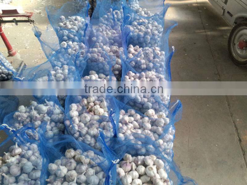 Best Quality And Competitive Price Normal White Garlic And Pure White Garlic