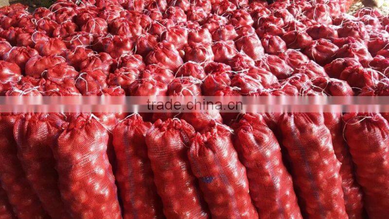 Exporters, Producer, Suppliers of Fresh Onions/Red Onions