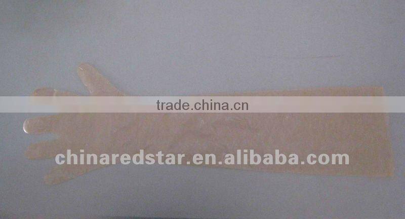 Vinyl Examination Gloves