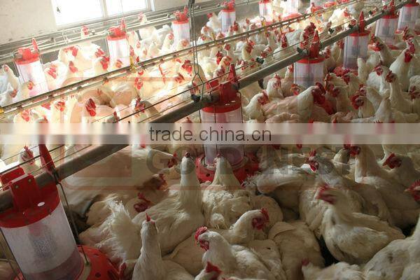 pan feeder for broiler