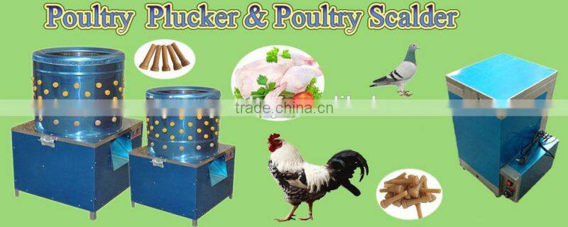 WQ-60 automatic chicken plucker used poultry plucker for sale