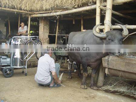 most popular and best selling cow milking machine/008615514529363