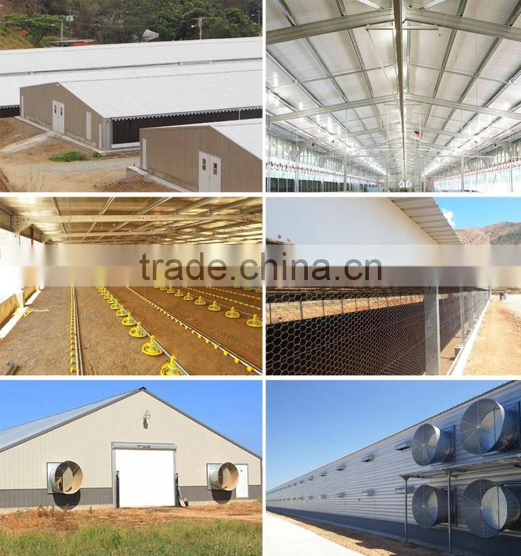 cheap prefabricated poultry house in algeria