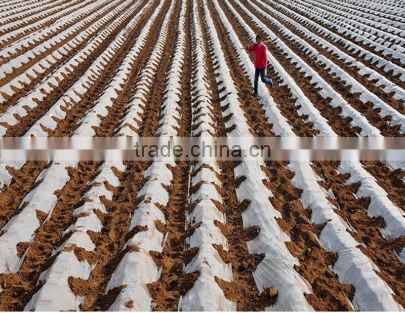 200 micron black mulch film, blow plastic mulch film, agriculture mulch film for sale