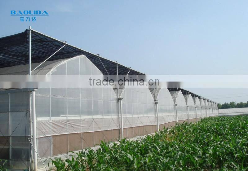 200 Micron Plastic Film Greenhouse For Vegetables