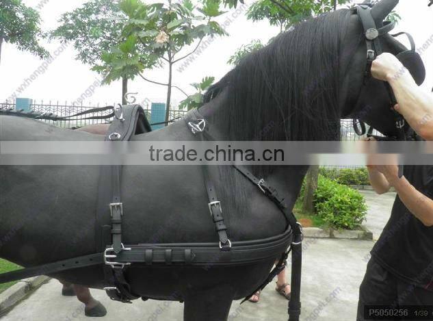 Europe Leather Halter / Padded Horse Halter