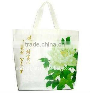 reusable non woven bag for promotion/shopping