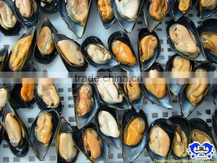 seafood frozen boiled mussel with shell