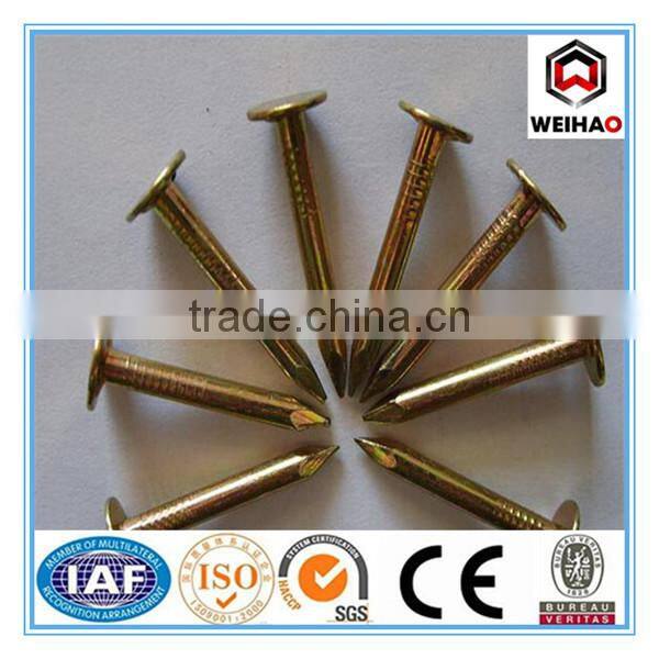 roofing nail with flat head