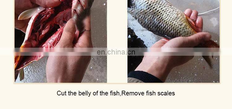 Electric fresh fish scaling machine fish gutting peeling machine from China factory
