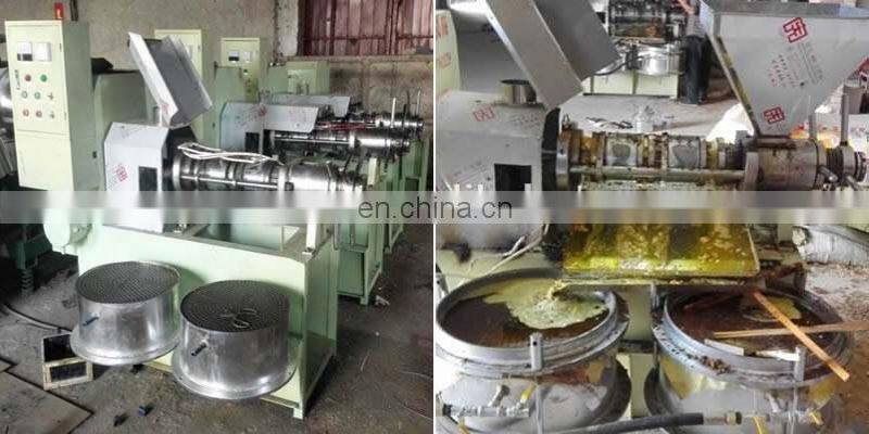 Good quality oil cold press machine