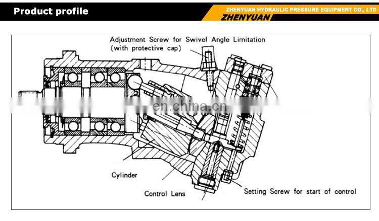Trade assurance Hydraulic Piston pump A7V series A7V55LV A7V55DR A7V55EP A7V55HD A7V55MA Used For Marine A7V78DR2