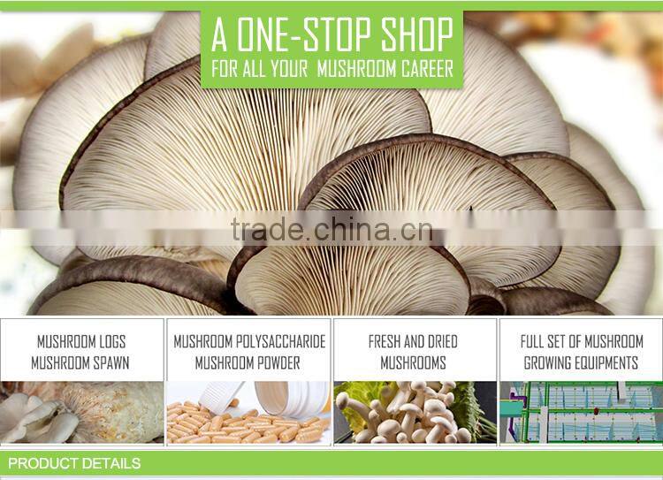 Collagen Type and Anti-Aging Function Health Supplement / Beauty Drink / Collagen