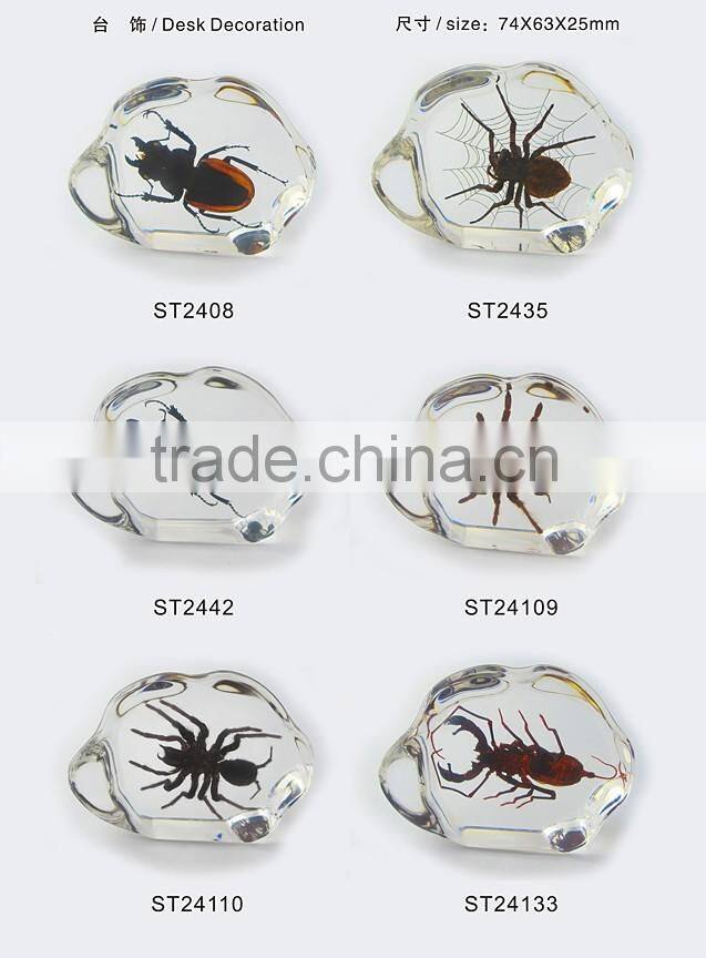 2016 new design promotional gift desk decoration real insect