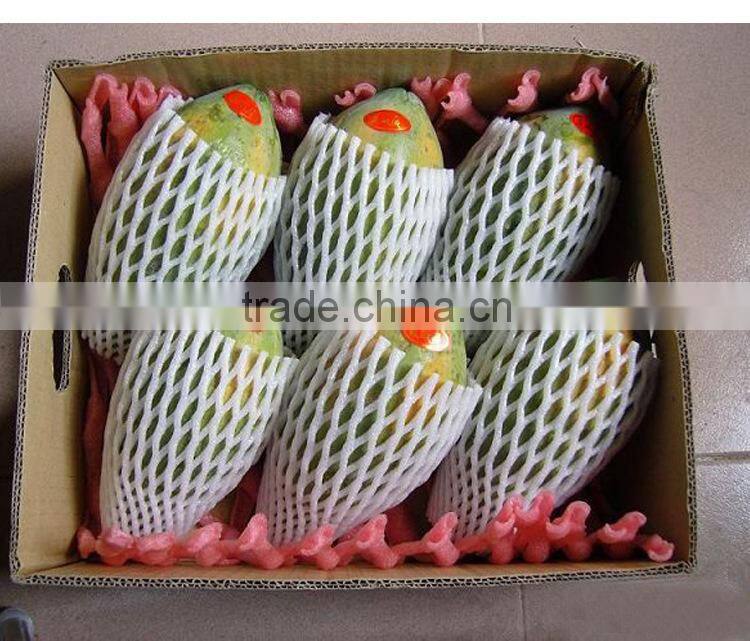Customized compartment plastic blister packaging tray for fruit and vegetable packing