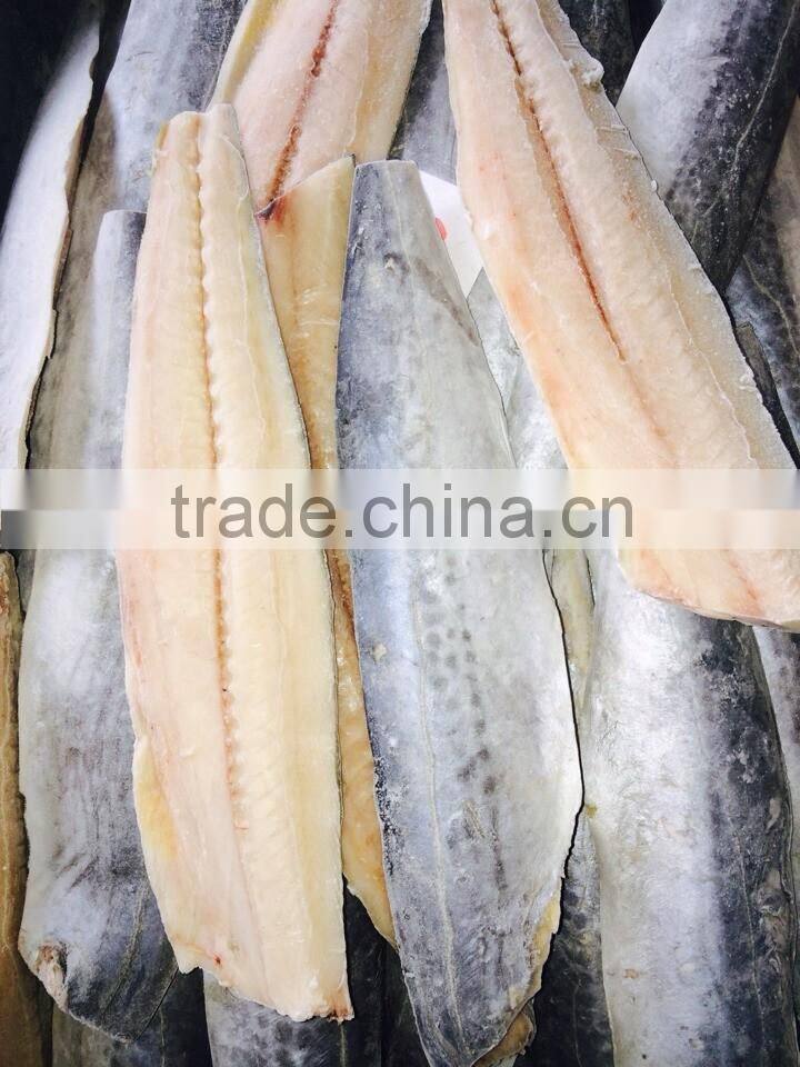 frozen spanish mackerel 2/3kg