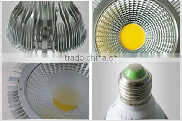 60 Degree beam angle cob led spotlight high power aluminum 10w led par 30
