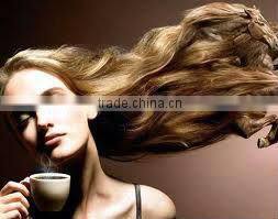 BACF.HHP serial Barisio coffee pot warmer