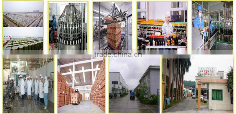 2016 BRC Wasabi Sauce in Tube 43g