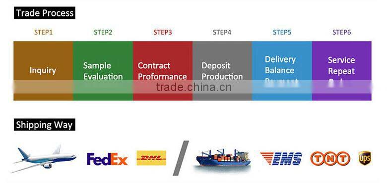 REVO coating snow goggles