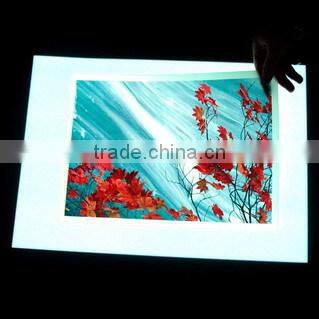 pure white el sheet / EL backlight/ EL backlit at large size